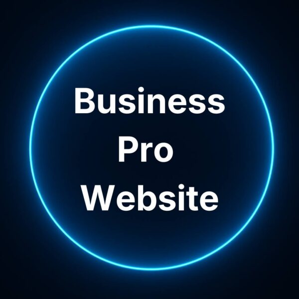 Business Pro Website design package
