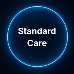 Standard Care monthly website maintenance plan