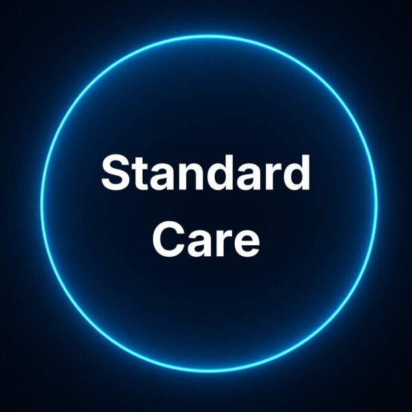 Standard Care monthly website maintenance plan